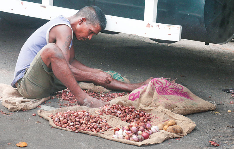 තිත්ත මිලකට පැණි රස ලොකු ලූනු ලංකාවට...අපේ ගොවියෝ වගාවෙන් එළියට
