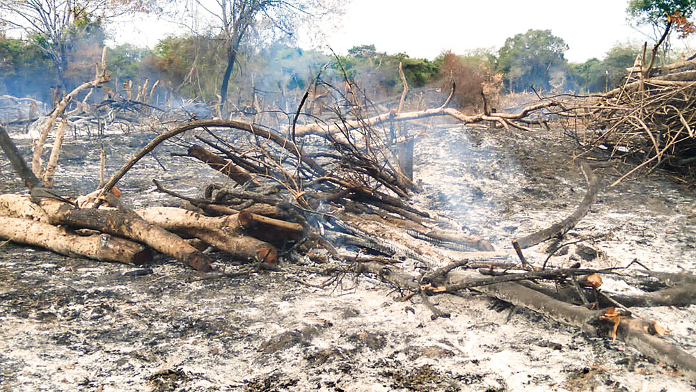 දේශපාලන හිතවතෙක් මිහින්තලේ රක්ෂිතයේ ඉඩම් කොල්ල කයි