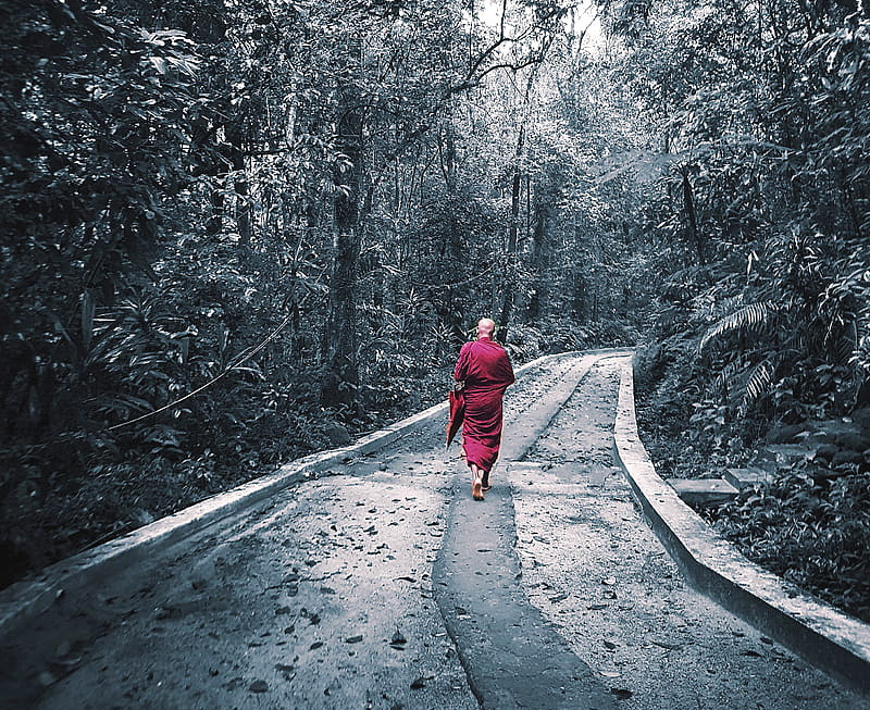 තෘෂ්ණාව යම් තැනක ද දුක ද එතැනය