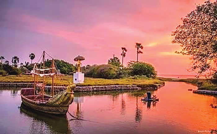 සිරිමහ බෝධියෙන් රෝපණය වූ සංඝමිත්තා බෝධිය