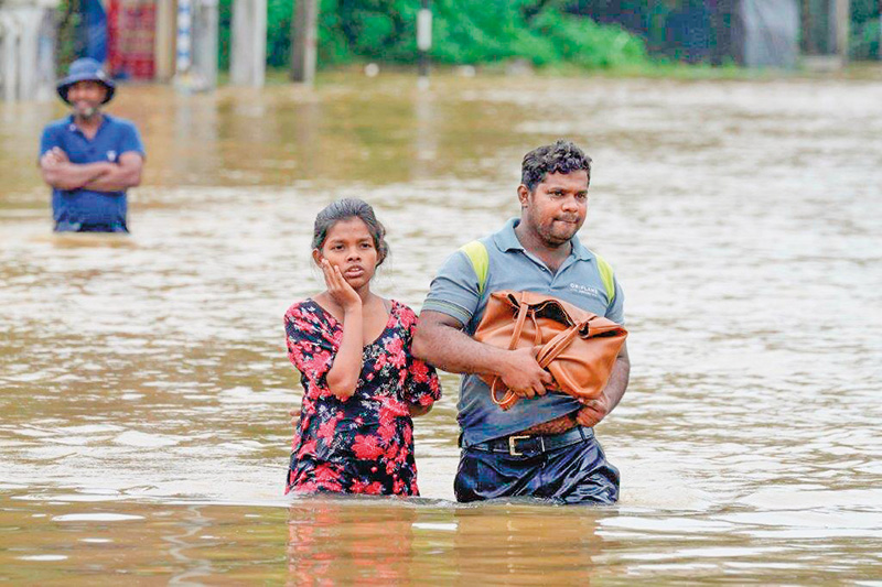 ආපදා කළමනාකරණ ගංවතුර පාලන සැලසුම් හමස් පෙට්ටියට