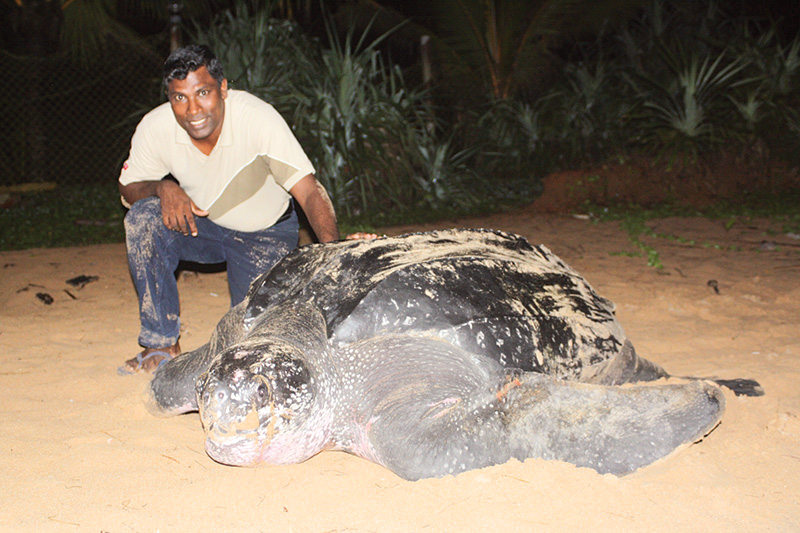 ලොව වෙනස් කරන පුද්ගලයන් පනස් දෙනා අතරට ගිය අපේ සමුද්‍රජීව විද්‍යාඥයා
