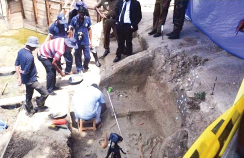 මන්නාරමේ සමූහ මිනී වළ ස්කෑන් කරන්නැයි නියෝග