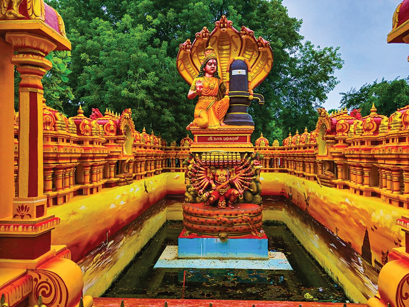 නාගපූෂණී කෝවිල් භූමියෙන් හමු වූ සෙල් ලිපිය?