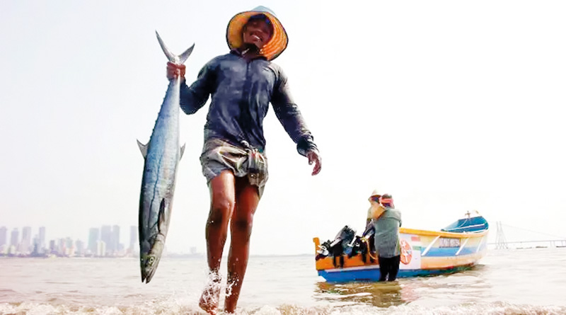 මුහුද අපට…මාළු උන්ට…