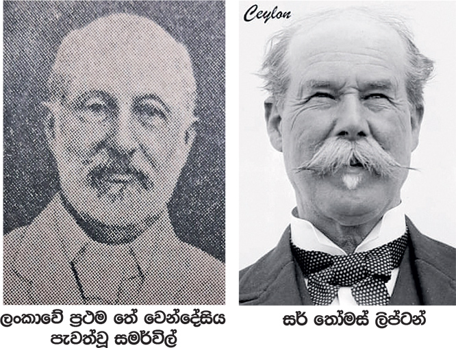 ලංකා තේ අතීතය