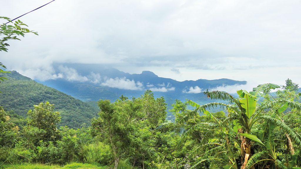 කුඹුක්ගොල්ල ඔය ළඟ මුරුතැන් පූජාව රස විඳ කළුගල හරහා උඩුදුම්බරට…