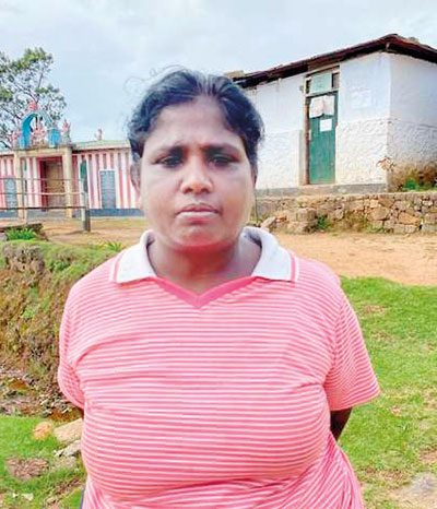 ලෝක උරුම සමනල රක්ෂිතය, බේර් කස් බෙන්ඩ් පරිසර පද්ධතියට අමුතු අයිතිකාරයෝ