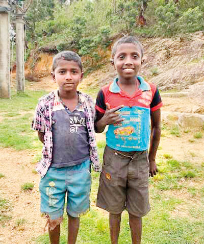 ලෝක උරුම සමනල රක්ෂිතය, බේර් කස් බෙන්ඩ් පරිසර පද්ධතියට අමුතු අයිතිකාරයෝ