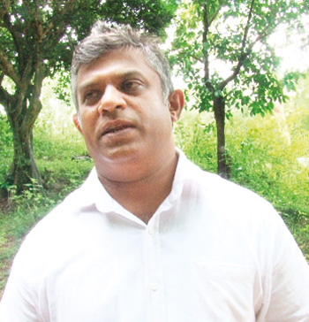 හිතන තරම් ලේසි නැති අලි බැලිල්ල