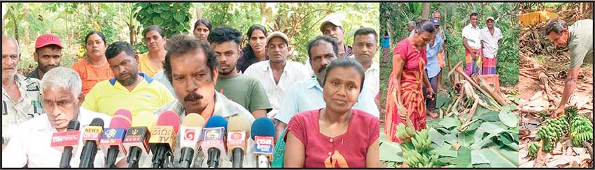 හීලෑ ‘අග්බෝ’ චණ්ඩියෙක් වෙලා