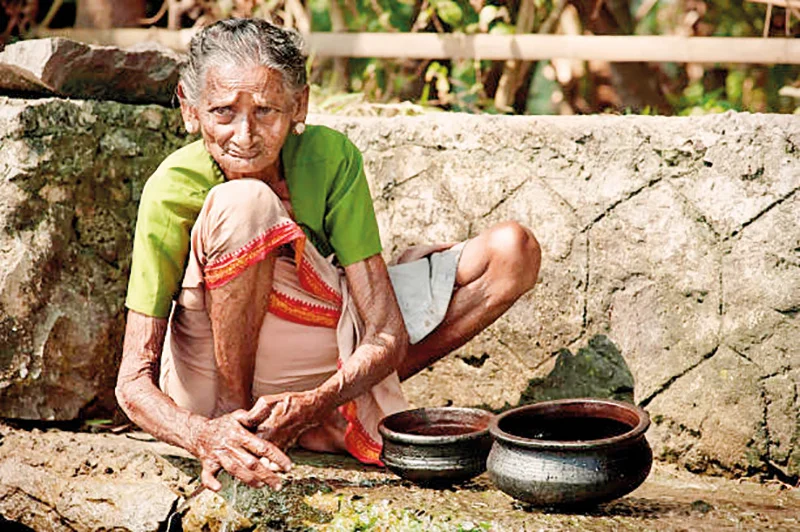 බත් කන්න හාල් නැතිව ලක්ෂ තිහක් බඩගින්නේ…ඒත් වෙළෙඳපොලේ තාමත් රජකරන සහල් මාෆියාව