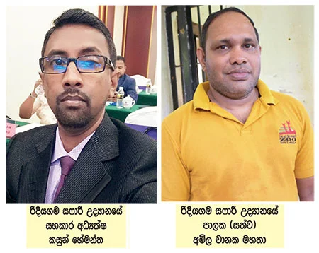 ලාරයි ඩෝරයි දෙන්නම අම්මලා