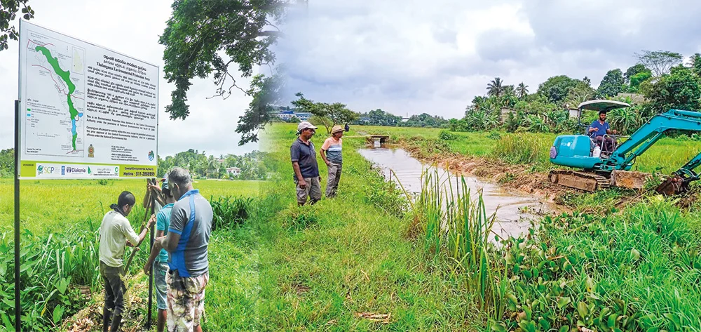 ගොතටුව තෙත්බිම් උයනේ අසිරිය විඳිමු