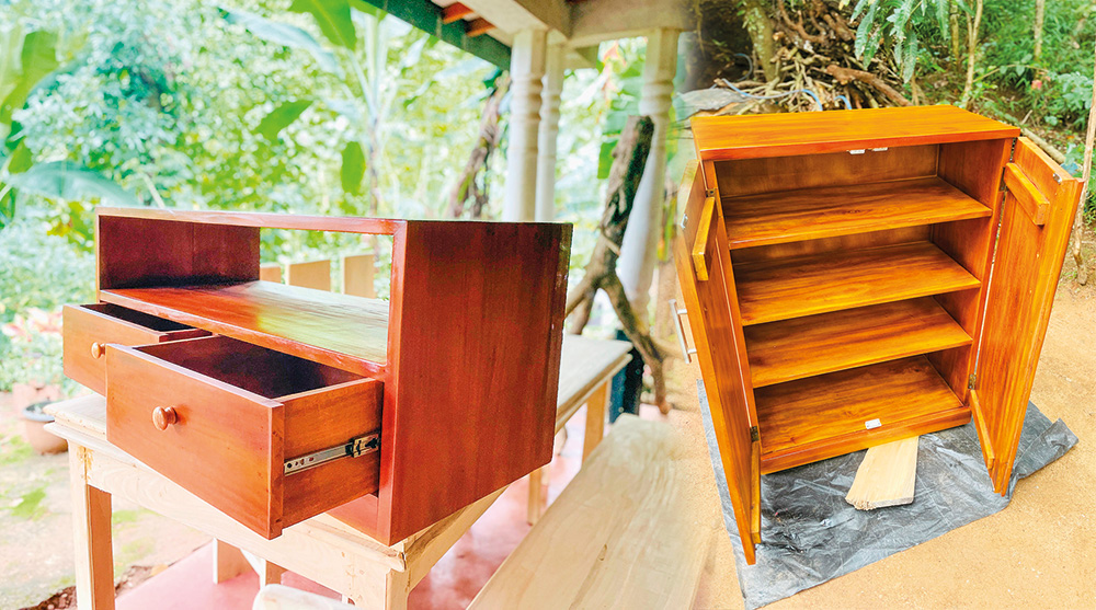 අඩු නැතිව වඩු වැඩ කරන සුමුදු දෑතක හිමිකාරී