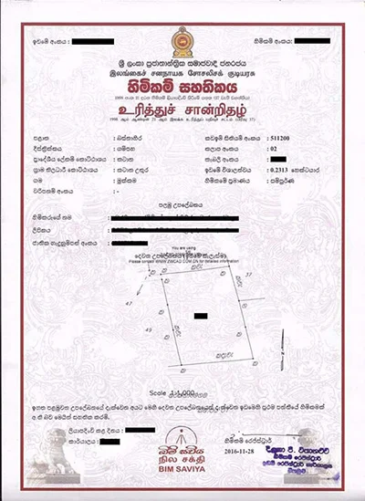 රට කන්නට පෙර ඉඩම් කොල්ල කෑ දේශපාලකයෝ
