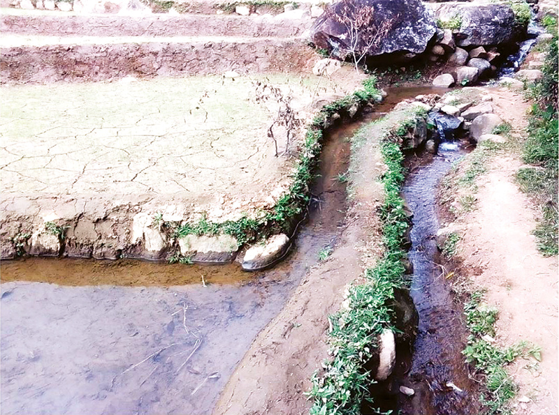 ලොවෙන් සැඟවුණු මීමුරේ ඉපැරණි ජල ශිෂ්ටාචාරය