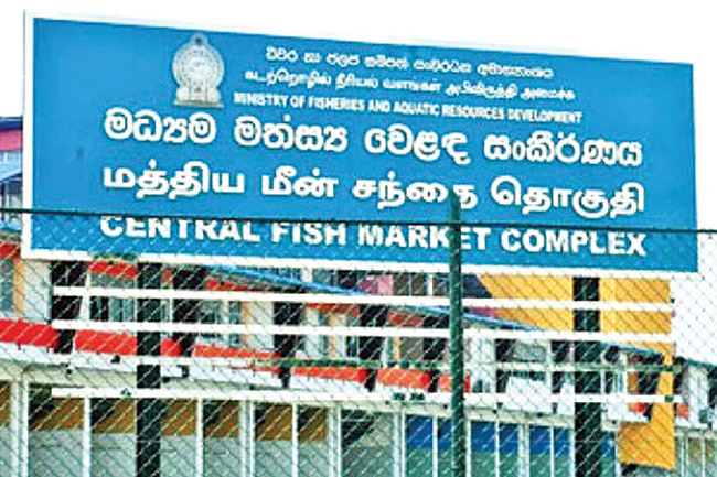 උත්සව සමය ඉවර වුණත් මාළු තවමත් ගිනි ගණන්