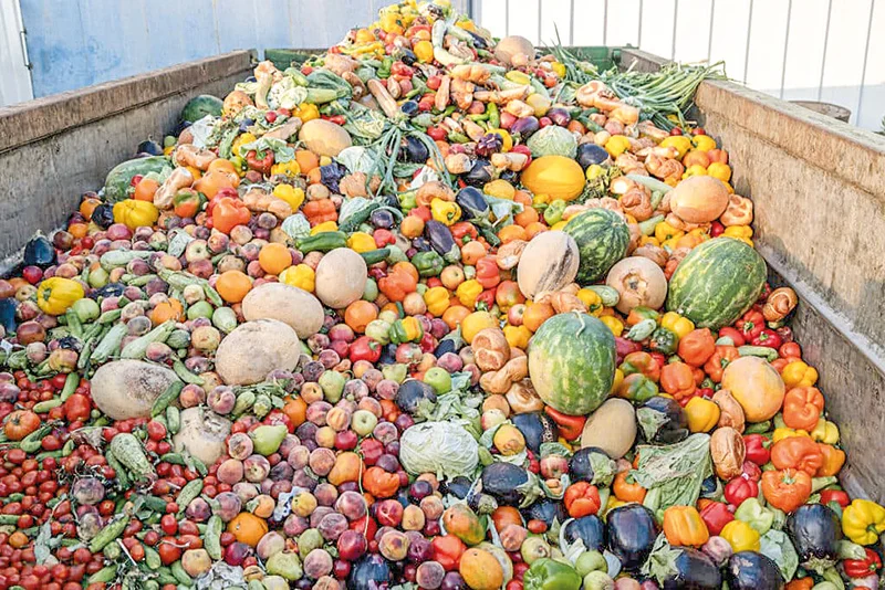 රටේ ආහාරවලින් වැඩි කොටසක් අපතේ යයි!