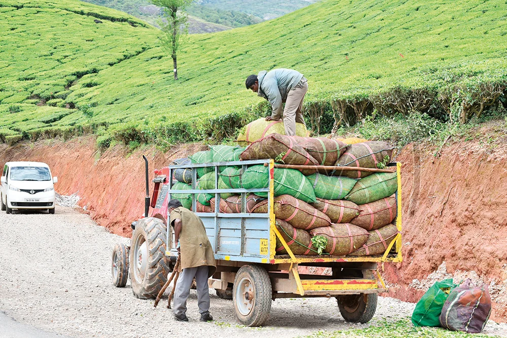 රටේ ආහාරවලින් වැඩි කොටසක් අපතේ යයි!