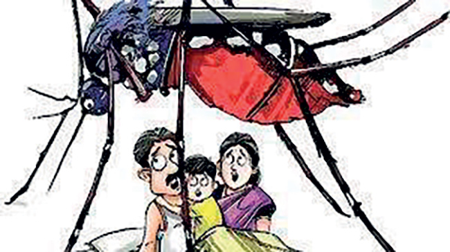 කුඩා මදුරුවෙක් විශාල අභියෝගයක්