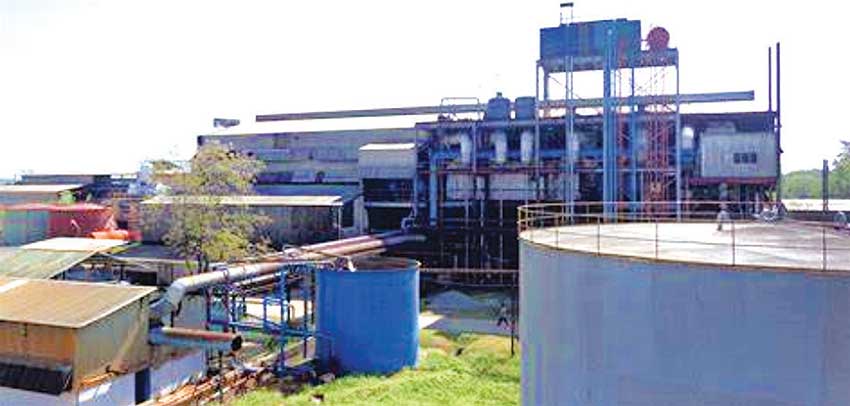 රට සීනි වෙළෙඳ පොළේ අපේ සීනි තාමත් කම්හල්වල - සීනි කර්මාන්තශාලා අවදානමේ