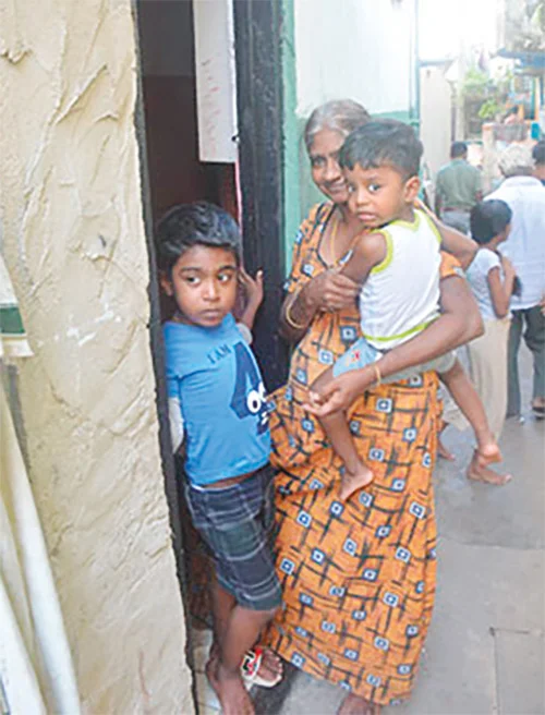වත්ත ඇතුළට එබී බලමු!