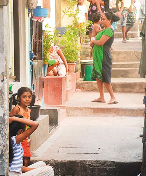 වත්ත ඇතුළට එබී බලමු!
